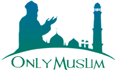 Beschreibung des Bildes